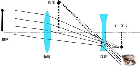 伽利略望遠鏡物鏡、目鏡成像原理