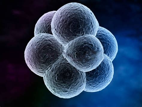 囊胚移植10天hcg才50能不能保住