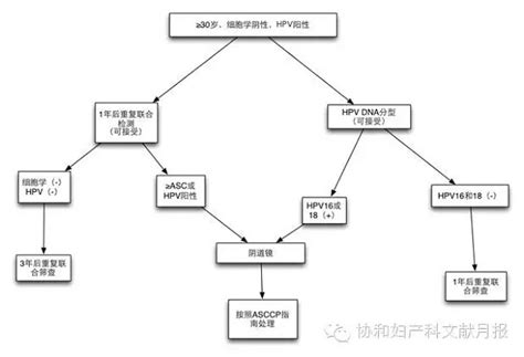 男性是否需要查hpv