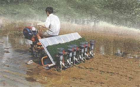 插秧機多少錢一臺
