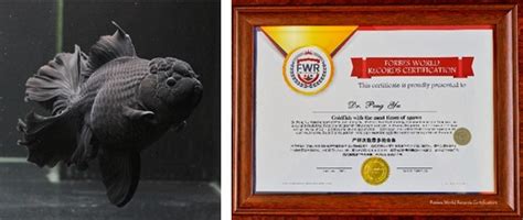 古代釵名 女衣名