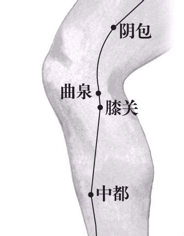 曲骨穴真人演示