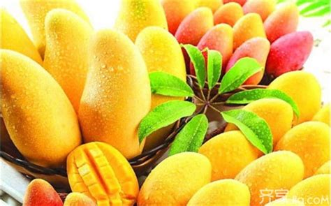 青芒有什么營養(yǎng)價值