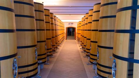 三天逛了15个酒庄 中国也有世界级酿酒厂地 宁夏贺兰山东麓