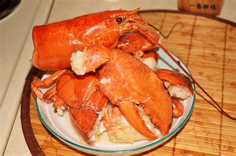 怎么防止龙虾吃龙虾,小龙虾的天敌有哪些