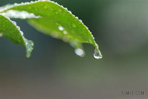 雨后即景-写景的作文450字[合集9篇]