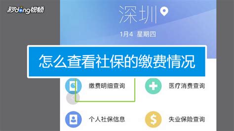 北京有人在“查悦社保”APP上办理过代缴过公积金吗?