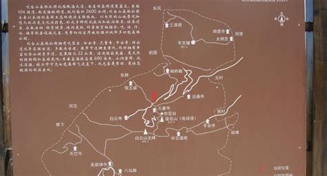 去温州吹台山森林公园作文