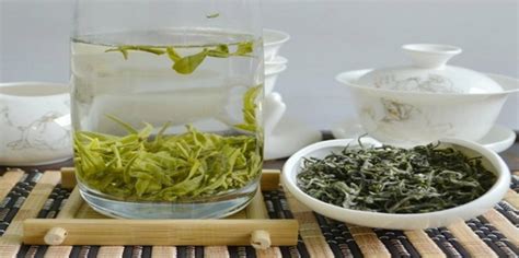 碧螺春属于绿茶吗?