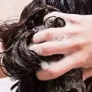 一棵没洗头的松茸 松茸可以洗头发吗