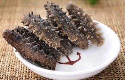 哪里的海參好?