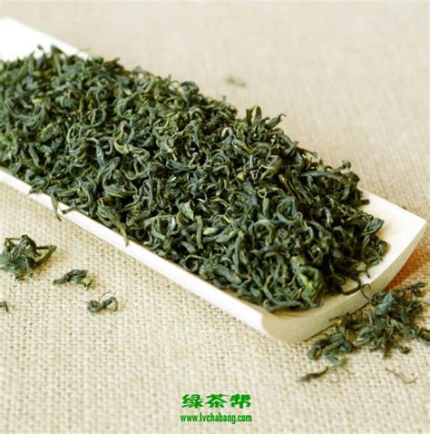 云雾绿茶多少钱一斤,青岛绿茶多少钱一斤