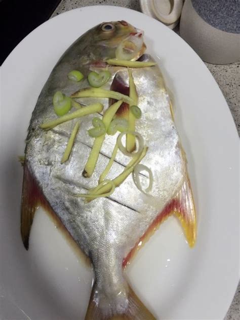 清蒸金鲳鱼怎么煎好吃吗,这样做的清蒸金鲳鱼