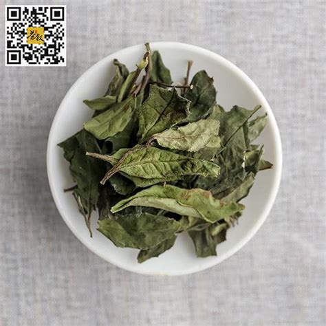 白毫银针怎么不绿,新茶白毫银针该如何存