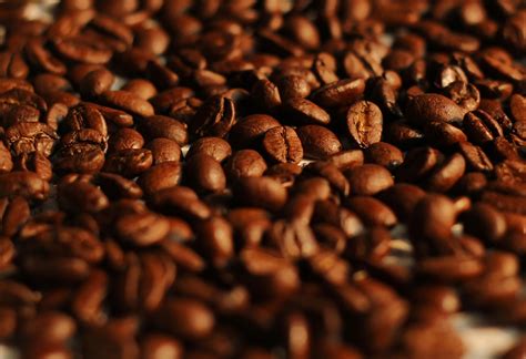 咖啡豆怎么挑选