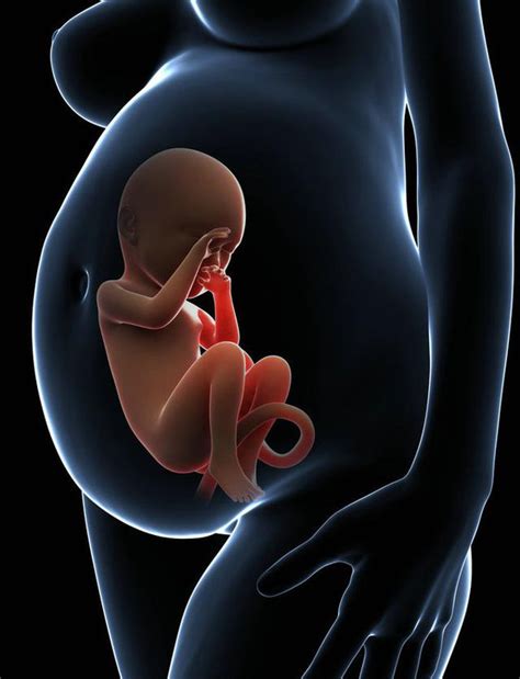 甲亢怀孕对胎儿的影响大吗