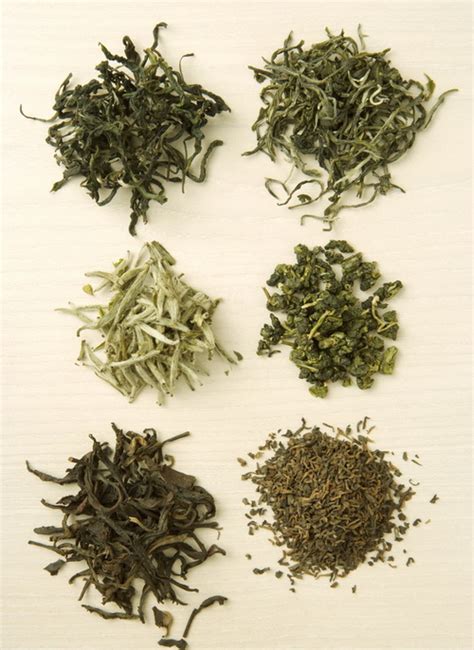 呀诺达茶叶如何,苦丁茶的产区有哪些