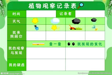 一年级种豆的观察记录