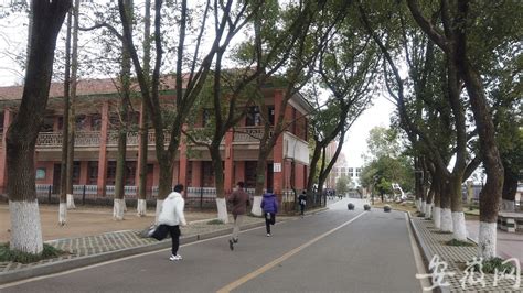 宣城丽景国际到宣城万达坐几路公交车