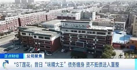河南省項成市蓮花味精場銷售怎樣?會倒閉嗎?
