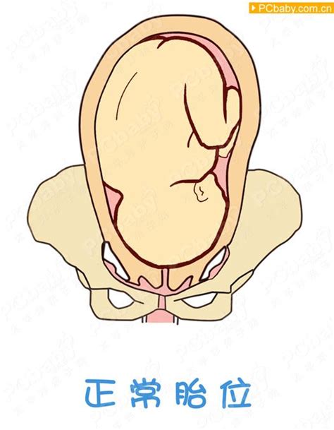 一胎剖腹产二胎还能要双胎吗