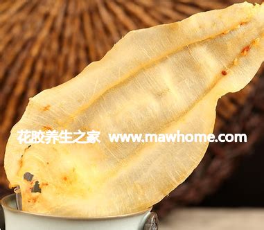 鱼胶价格多少一斤