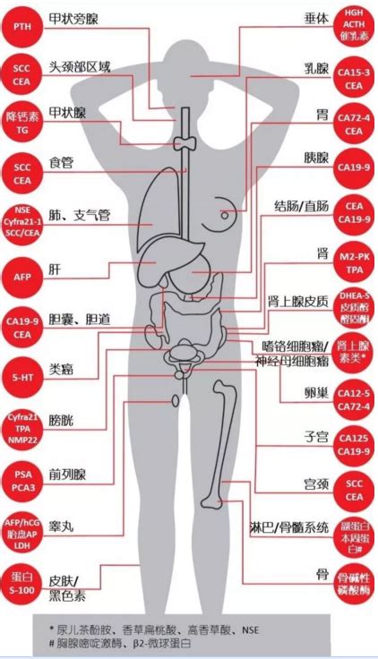 肿瘤标志物六项指标