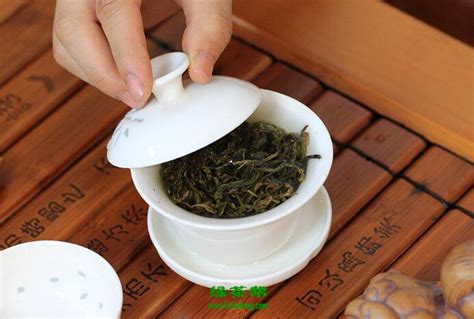 怎么从茶底分辨古树茶,如何分辨古树茶