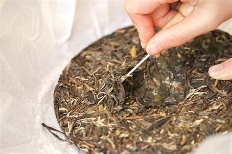 普洱茶茶饼怎么弄碎,如何撬开不同形状的普洱茶