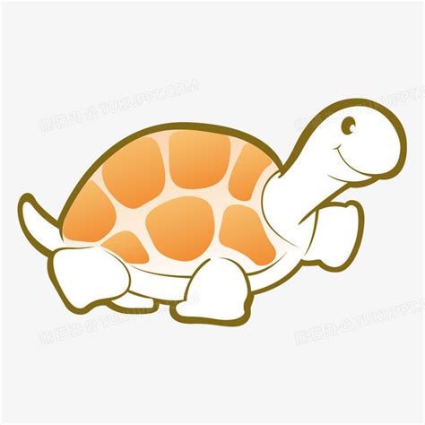 小乌龟-我的动物朋友550字(合计6篇)