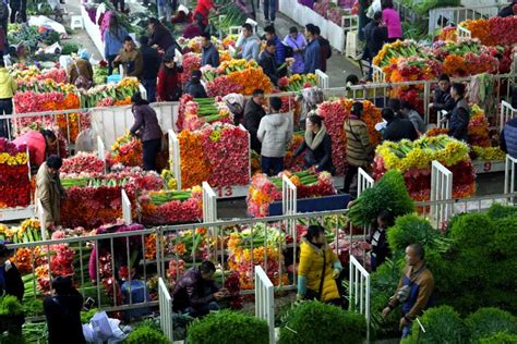 昆明市斗南花卉市场在那里