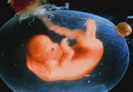 胎儿发育不良的情况常见吗