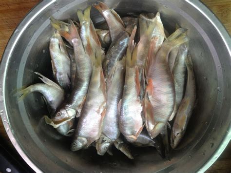松子鱼是怎么做的,干鱼怎么用油炸