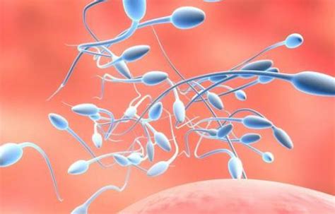 精子发黄的原因影响生育吗