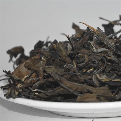 福鼎白茶是属于什么茶类,四川福鼎白茶适合制成什么茶