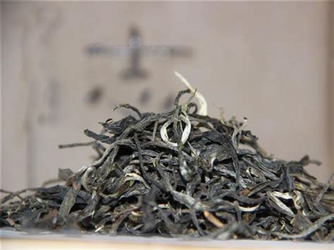 古树普洱茶生熟如何辨别,云南普洱茶生茶和熟茶的区别