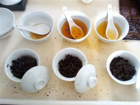 茶叶审评为什么首先要取样,普洱茶审评方法