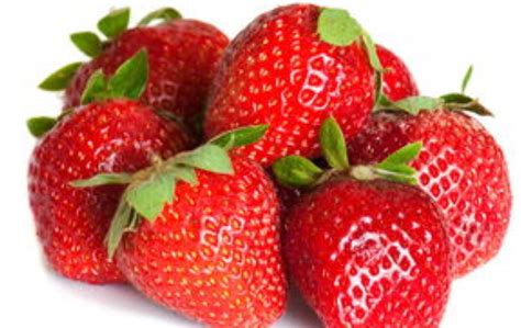 草莓如何辨别好坏,如何判断穴盘草莓苗弓背