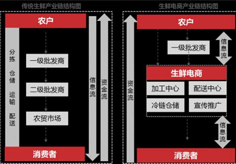 电商行业最后的红利地带(生鲜电商如何站稳脚跟)