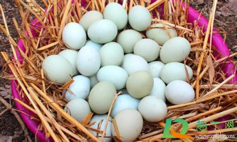 无壳鸡蛋-记事作文300字[推荐8篇]