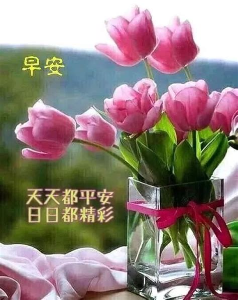 早上好鲜花图片