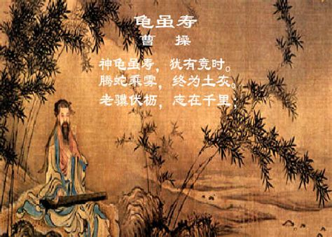 归来_关于乌龟的作文400字【合集6则】