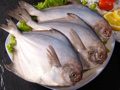银鲳鱼太小怎么做,传统又简单的红烧银鲳鱼