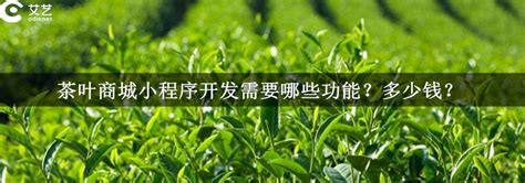 茶叶销售到哪里,记者走访贵阳最大茶叶销售市场