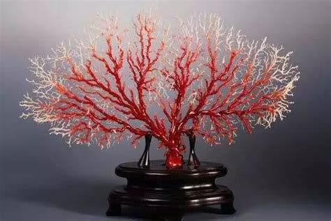 什么是拼接红珊瑚,揭秘红珊瑚手镯拼接过程
