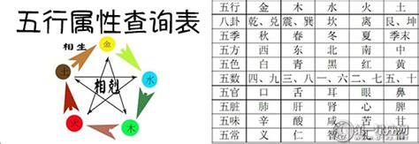 1至49数字五行表图片