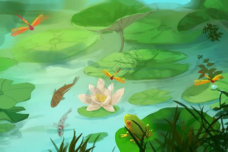 荷塘夏夜作文，描写夏夜荷塘的作文【经典6篇】