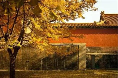 北京深秋美景在此时，紫荆城、颐和园，这是你不能错过的秋色