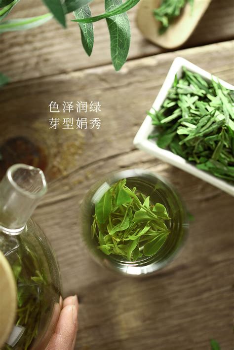龙井绿茶饮料保质期多久,绿茶保质期多久