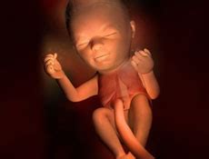 怀孕的胎教